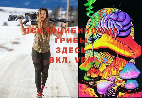 соль курить ск Алзамай