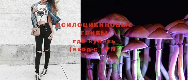 соль курить ск Алзамай