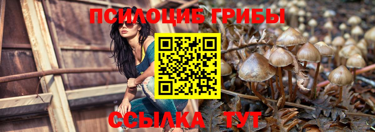 Тверь  Псилоцибиновые грибы Magic Shrooms  где купить   Вход с VPN 